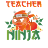 Teacher ninja at night