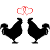Rooster Love