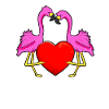 Flamingo Love