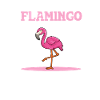Anaotomy Of A Flamingo