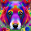 Bunter Hund 02