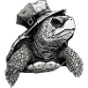 Captain Turtle