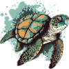 The sea turtle