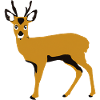 Cerf stylisé orange