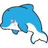 Nala the dolphin