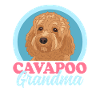 Cavapoo Grandma Hundebesitzer Cavoodle Geschenk
