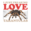 Tarantulas Spider Tarantula Gift
