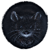 I see you - Maus