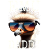 Emu Isä Lintu Strutsi Ratite Isä Isänpäivä Emu