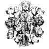 Wimmelbild Vorstehhunde