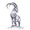 Steinbock