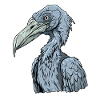 Shoebill