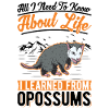 Opossum Possum Marsupial