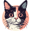 Katze