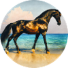 Golden black stallion