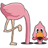 Ver flamant rose