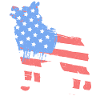 Schipperke Schipperke Flag