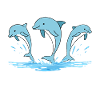 Team Dolphins