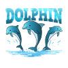 Future Dolphin Trainer