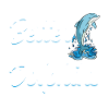 Life Is Beter With Dolphins