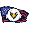Aigle américain avec drapeau