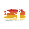 Perfect Golfer Saying