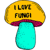 I love fungi