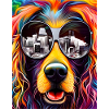 Dog with sunglasses