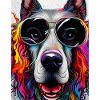 Dog with sunglasses