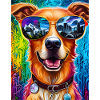 Dog with sunglasses