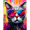 Cat with sunglasses