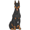 Doberman Pinscher Dog Dobie