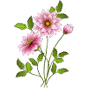 Fleur