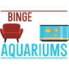 I Binge watch My Aquariums