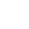 Developer Coder Programmer