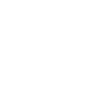 Developer Coder Programmer