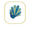 Peacock Bird