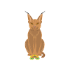 Big Floppa Caracal Cat Meme
