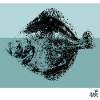 Erreboiloa