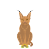 Big Floppa Caracal Cat Meme