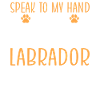Labrador Lover Gifts