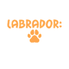 Labrador Lover Gifts