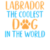 Cadeaux amoureux du Labrador