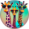 3 Cool giraffes with sunglasses