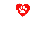 Dog Hund