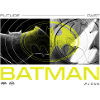 Flash og Batman: Fremtid og fortid