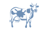 Cow Art Abstract