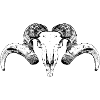 goatskullsketch