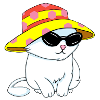 Beach-style kitten
