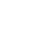 Lyon